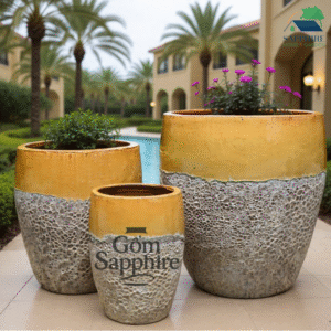 SAP26451051 - Bộ 3