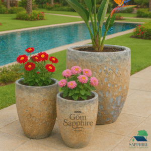 SAP26451060 - Bộ 3