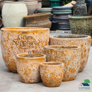 SAP2691161 - Bộ 5 - Men sôi cam