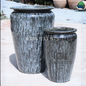 SAP12751002 - Bộ 2 - Men đen tủa