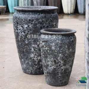 SAP41251027 - Bộ 2 - Men sôi đen