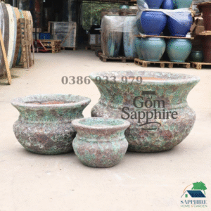 SAP199163 - Bộ 3 - Men sôi xanh