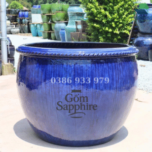 SAP175281 - 1 Chậu - Chậu lớn trồng mai & bonsai men dương mây cao cấp